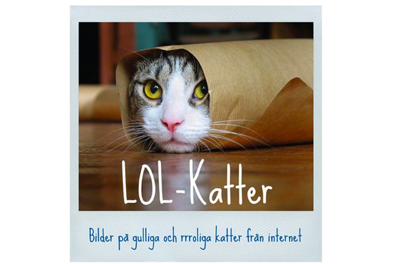 Bok med roliga katter