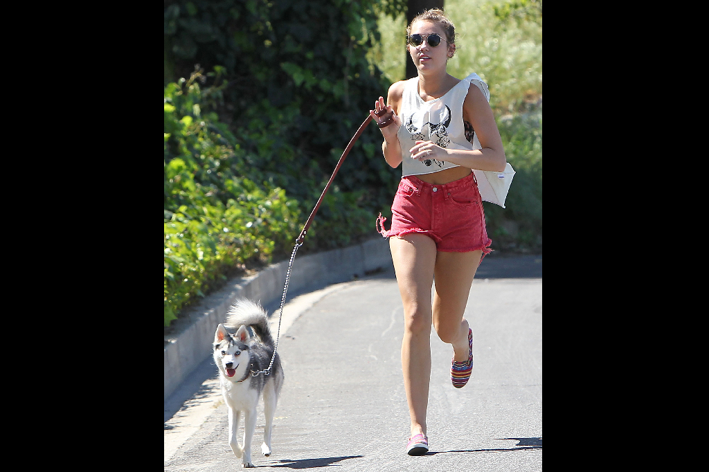 Så här är vi numera vana att se Miley - joggandes med magen bar.