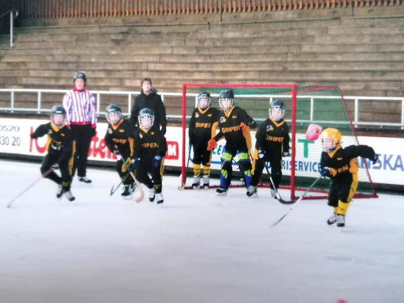 Nils van der Poel var länge en lovande bandyspelare. Han spelade för Gripen där pappa Göran van der Poel var tränare. Här i gul hjälm längst ut till höger.