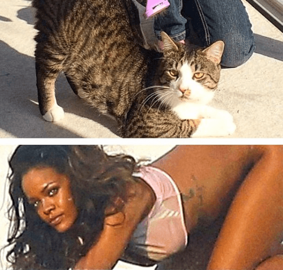 Rihanna. Rihanna.