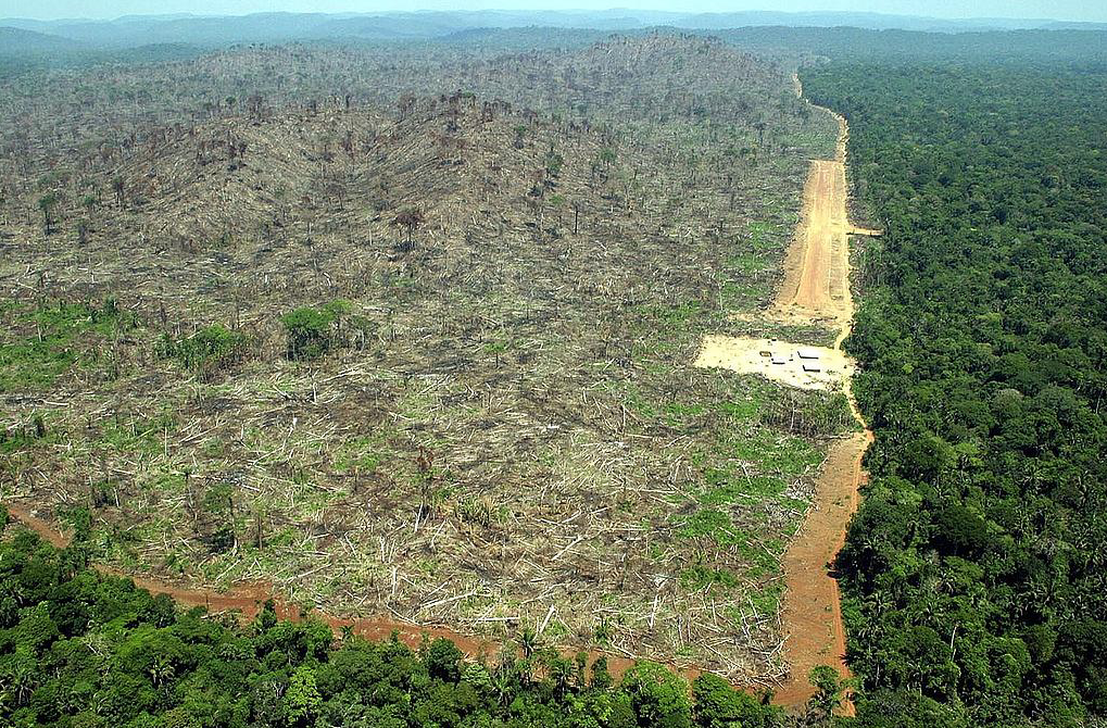 Amazonas Amazonas