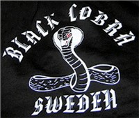 Black Cobra, Polisen, Gängkriminalitet, Brott och straff, Maffia