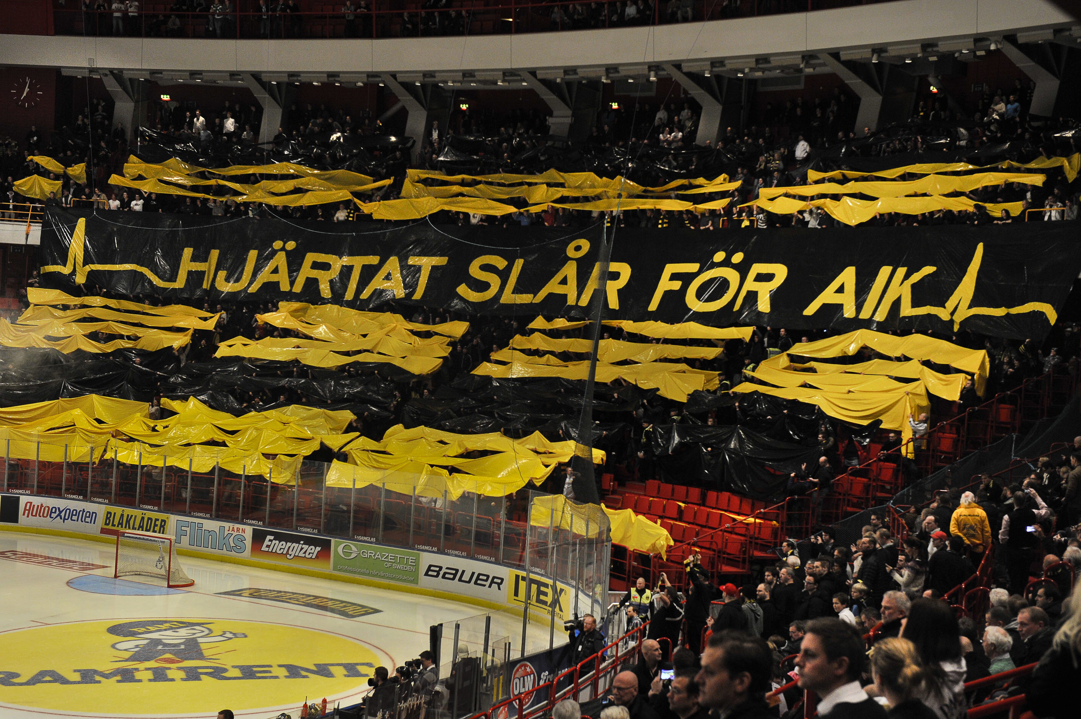 AIK-fansen fick jubla efter Johannes Salmonssons Sudden Death-mål.