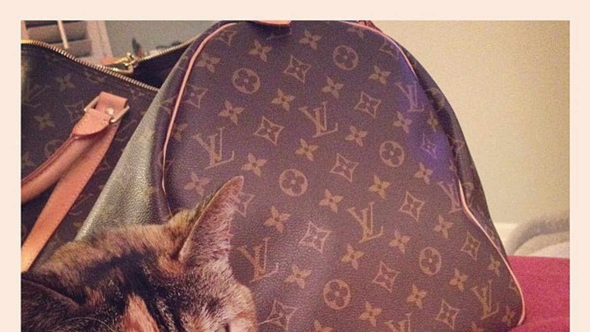 Louis Vuitton-väska, men så klart.