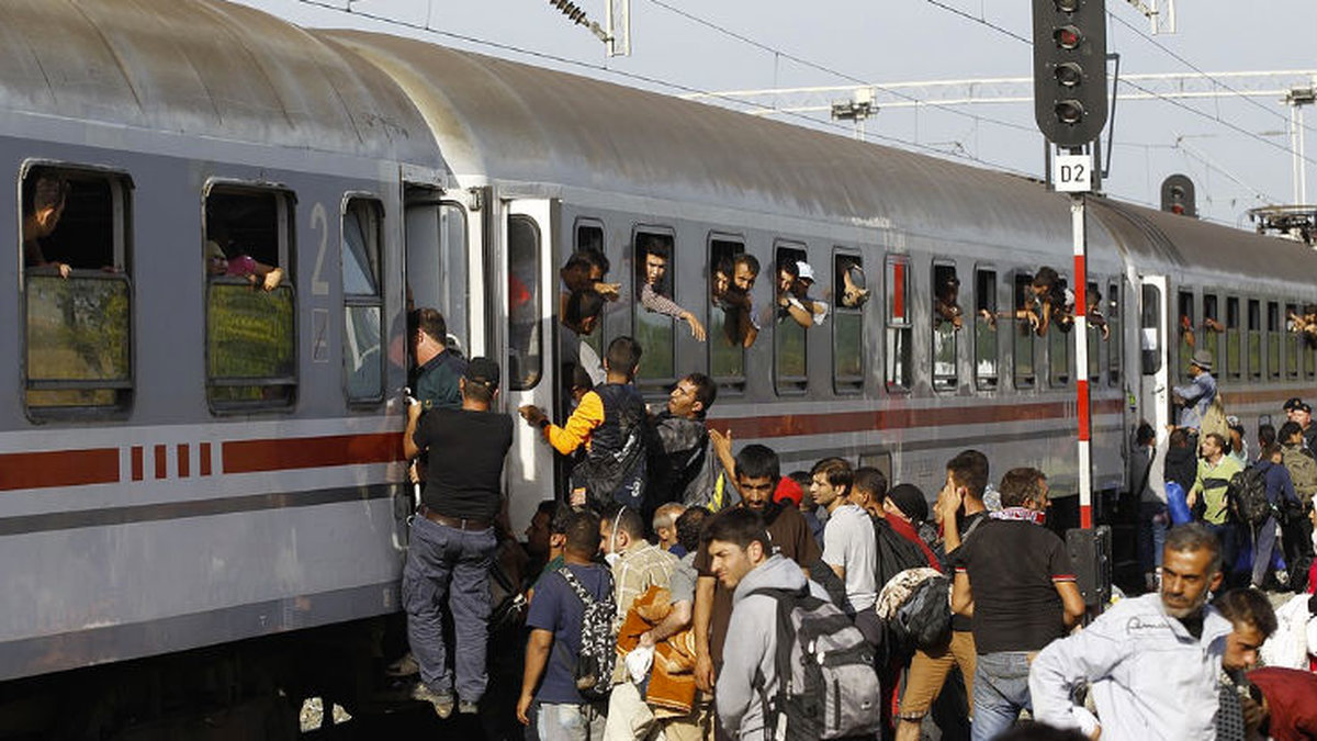Flygtingar försöker få plats på tåget in till Zagreb.