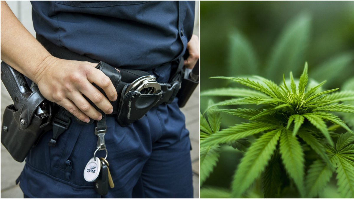 Polis dömdes till fängelse efter att ha odlat cannabis