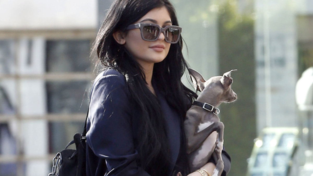 Kylie Jenner och hennes lilla vovve shoppar på Fred Segal i Hollywood. 
