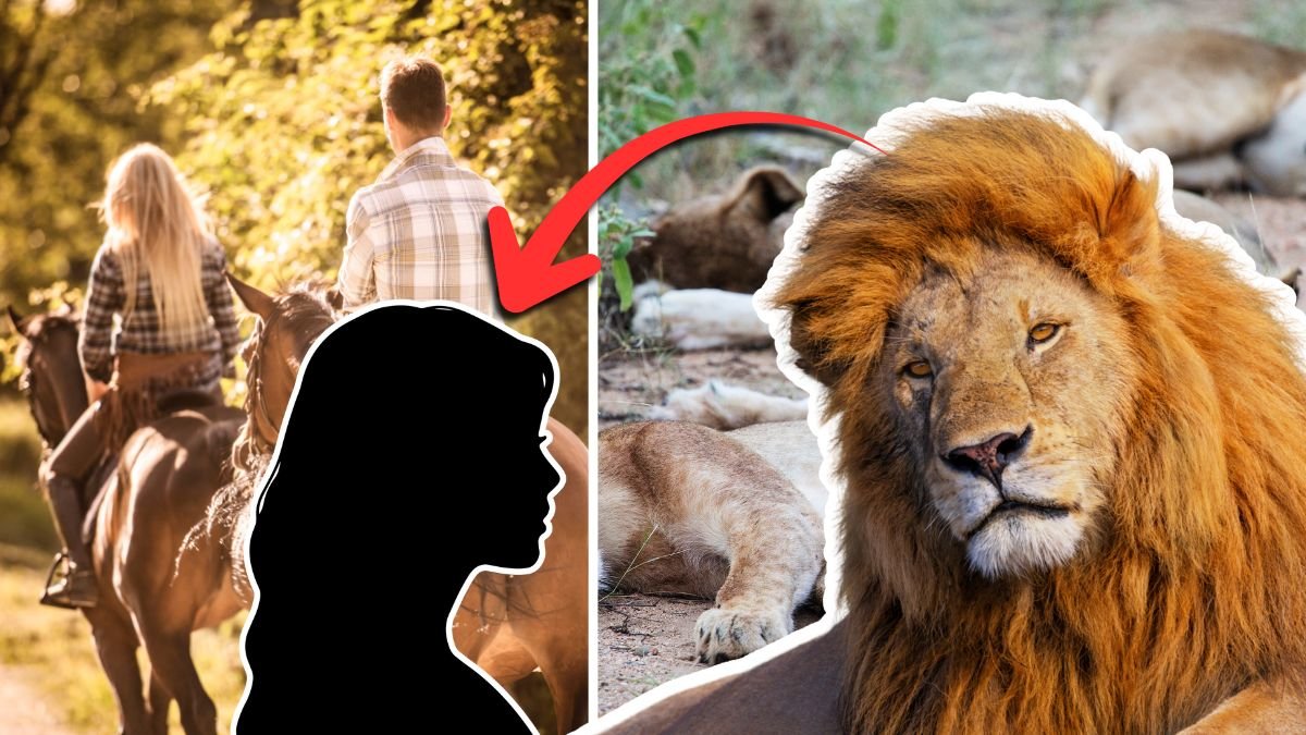 Svensk kvinna biten av ett lejon: “Måste haft änglavakt”