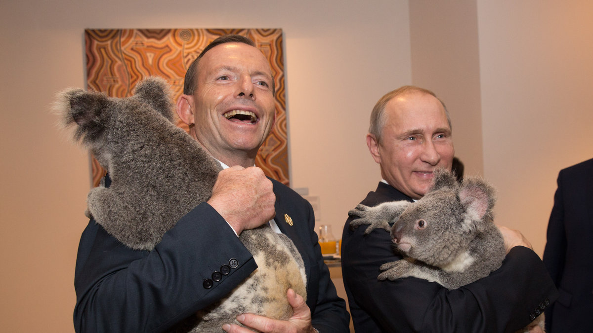 Vladimir Putin ler när han håller koalan Jimbelung, vars namn betyder "vän". 