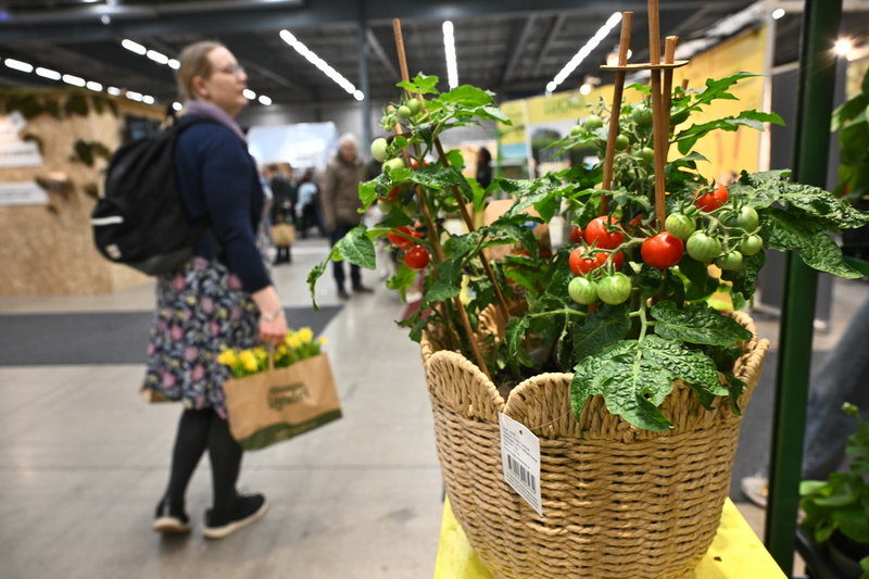 Ätbart kommer mer och mer som trend inom odling. 