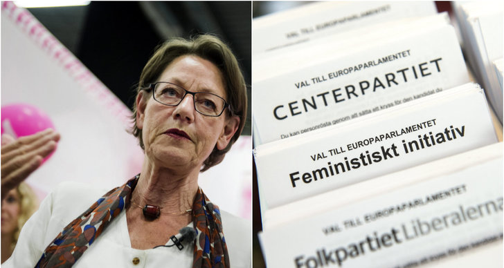 Riksdagsvalet 2014, Feministiskt initiativ, Supervalåret 2014, Gudrun Schyman