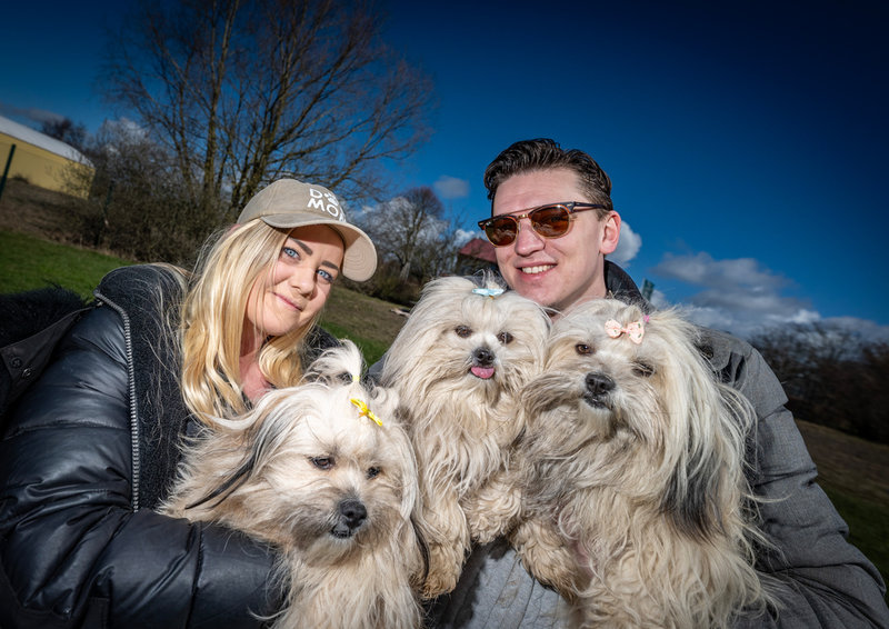 Zabina Lenander och Victor Kjellsson med hundarna Sally, Nala och Simba.