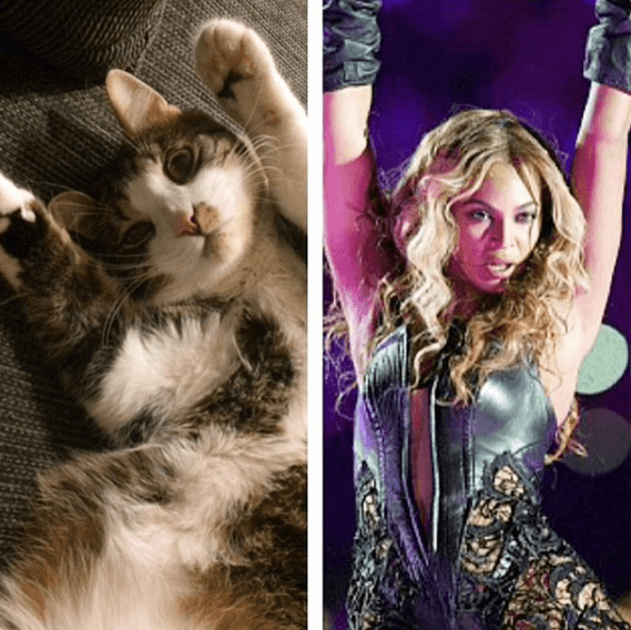 Beyoncé. Beyoncé.