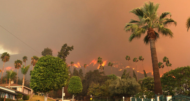 Kalifornien, Skogsbrand