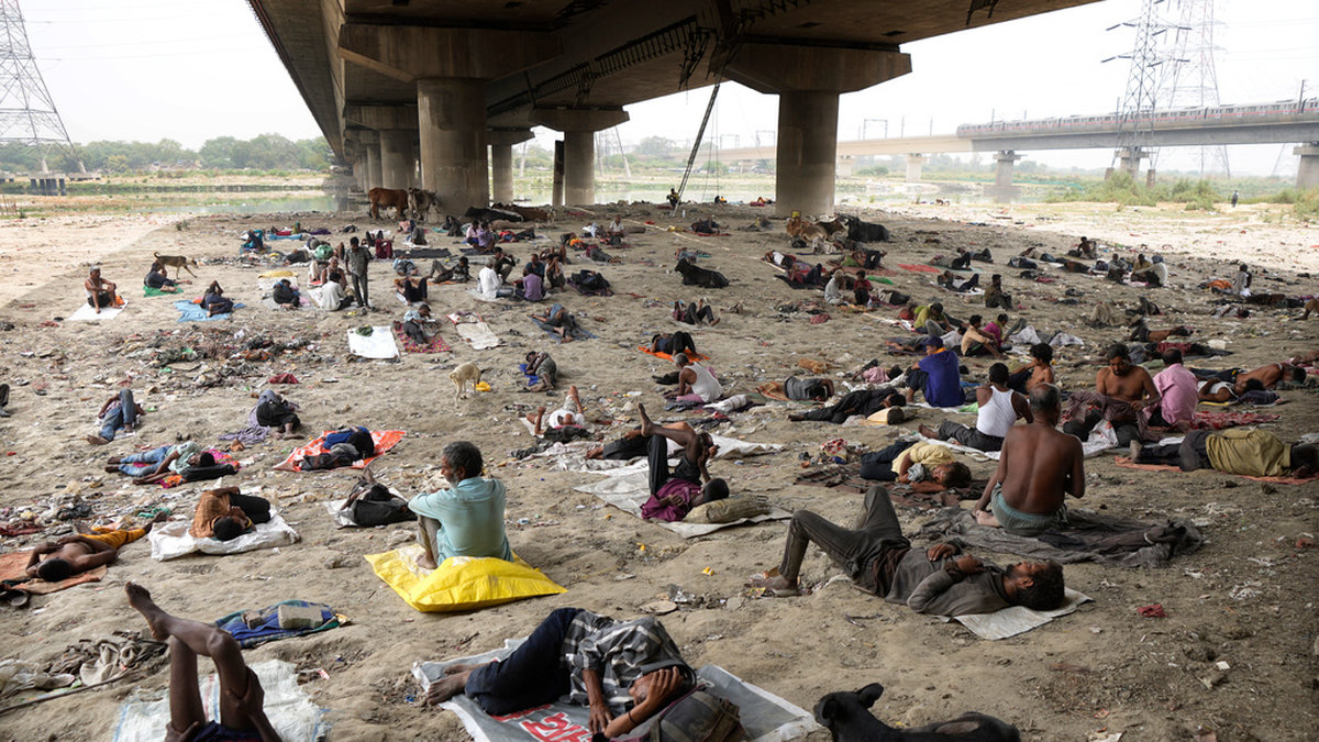 Hemlösa personer vilar i skuggan av en bro i New Delhi i slutet av maj.