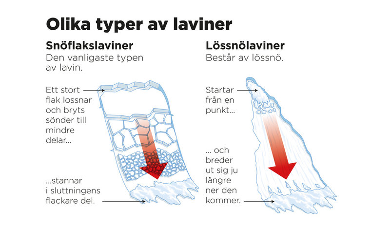Snöflakslaviner och lössnölaviner.