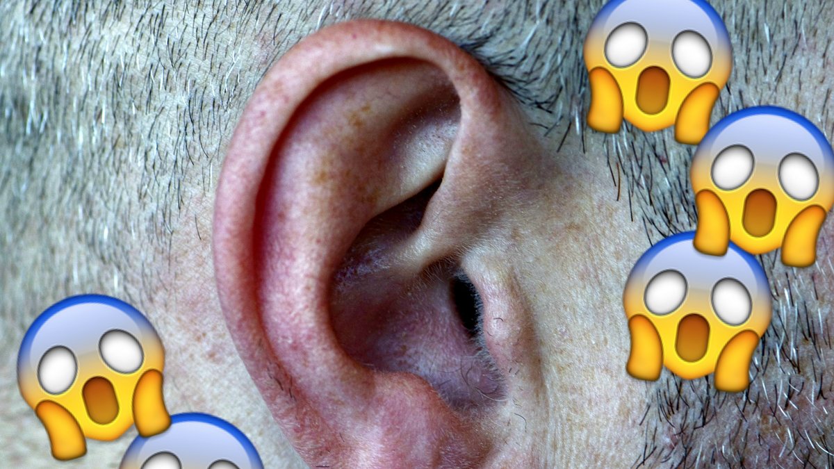 Visste du att vax i öronen är bra för dig?