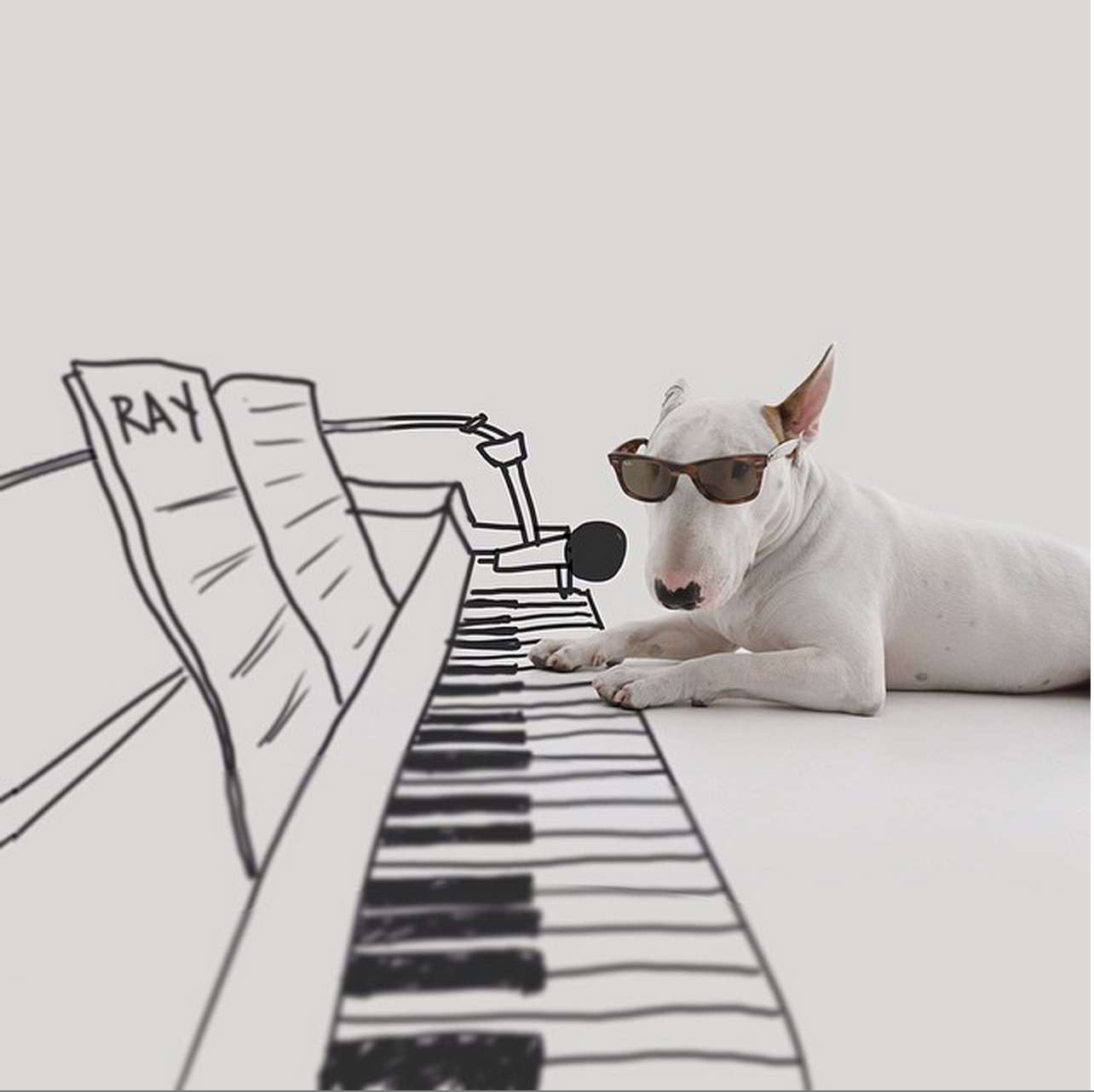 Jazz i blodet. Jazz i blodet.
