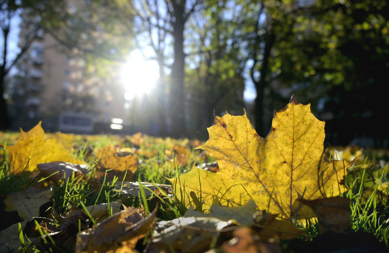 Varmt väder i helgen Varmt väder i helgen