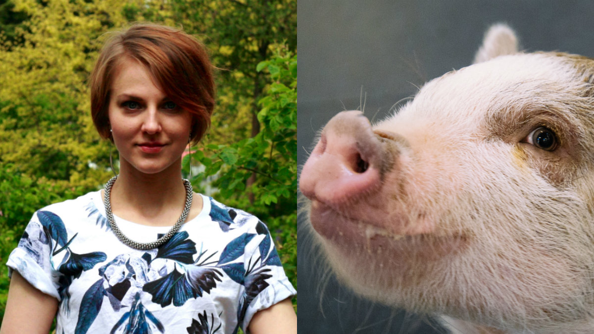 Elina Jansson skriver om köttindustrin.