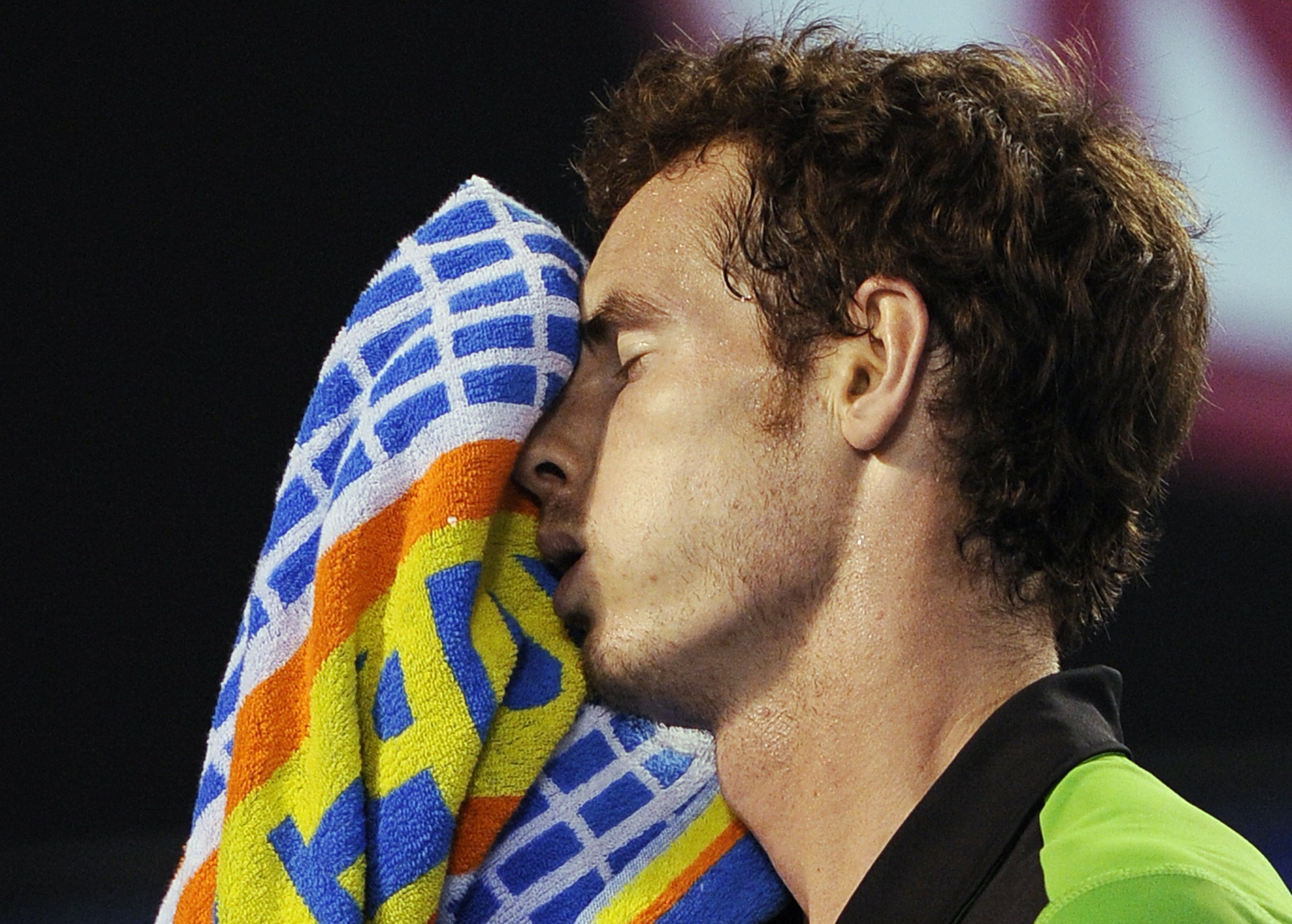 Andy Murray, Novak Djokovic, Australian Open, Tennis