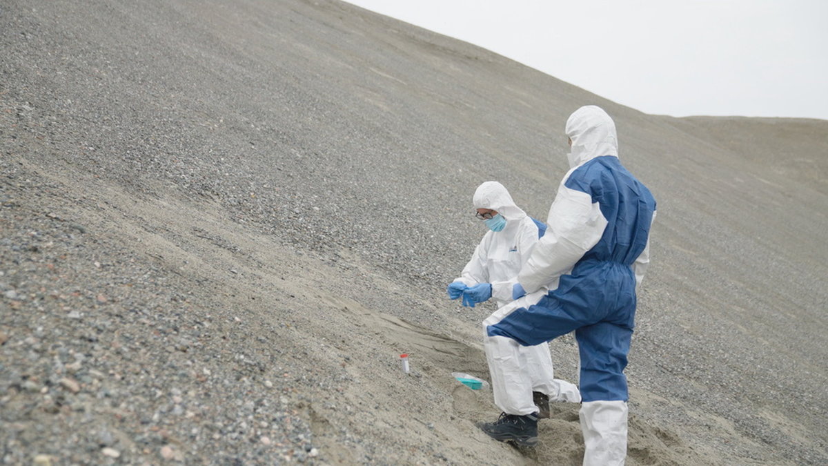 Professor Eske Willerslev och en kollega på Grönland för att samla prover som kan innehålla spår av två miljoner år gammalt dna.