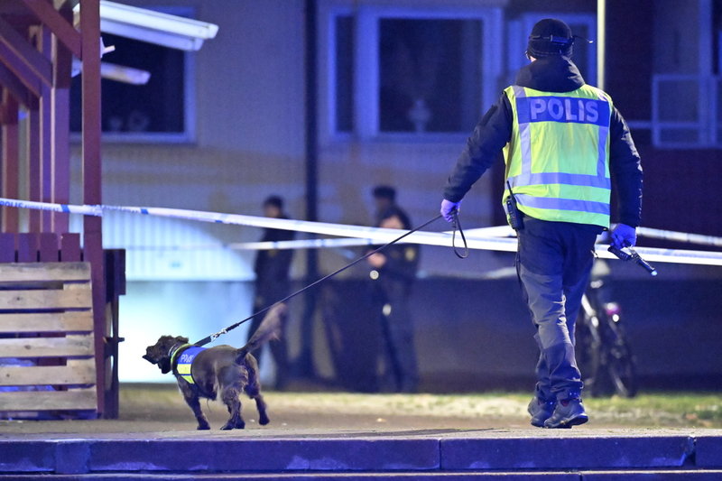 Polisen använde hund för att söka spår efter skottlossningen.