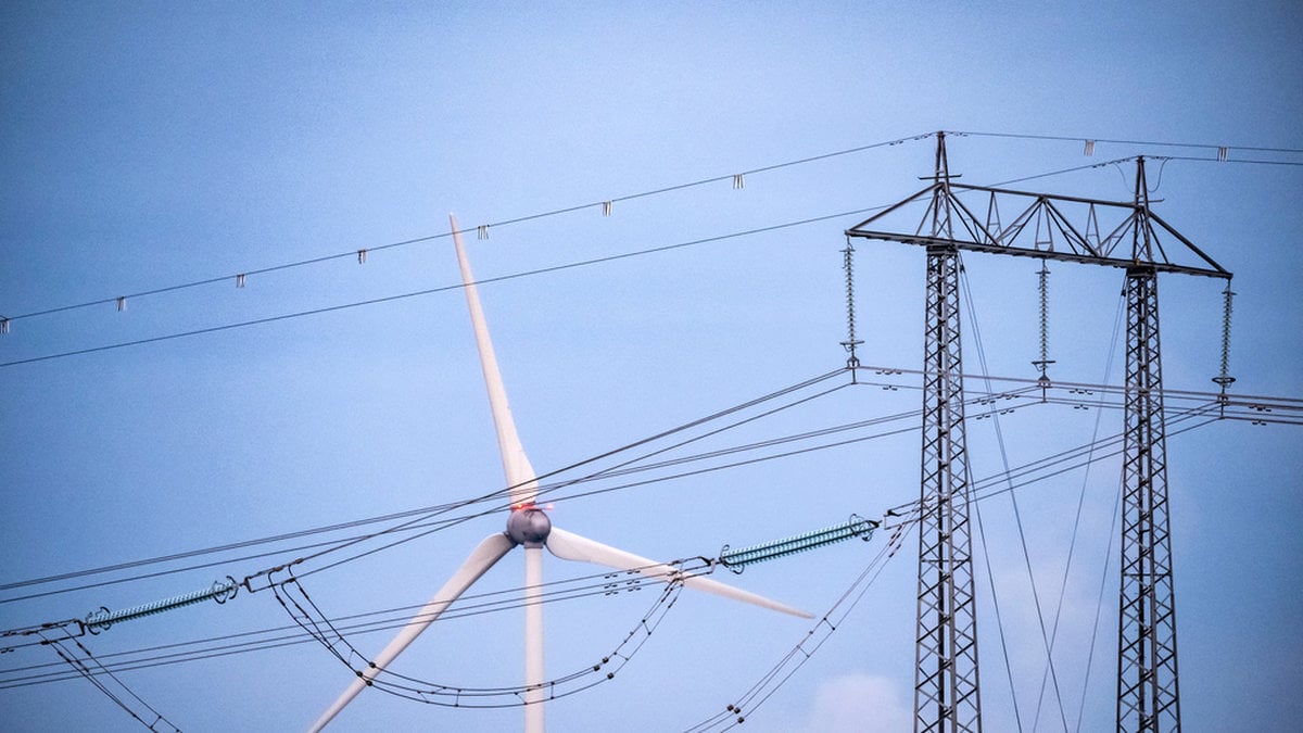 Forskare: Så kan Sverige lösa akut elbrist