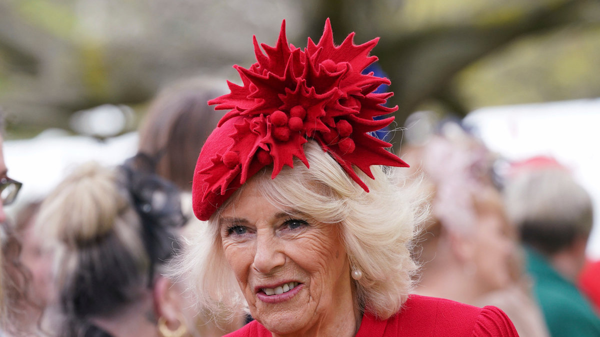 Den blivande drottningen Camilla under ett evenemang vid Buckingham Palace i London förra vecka.