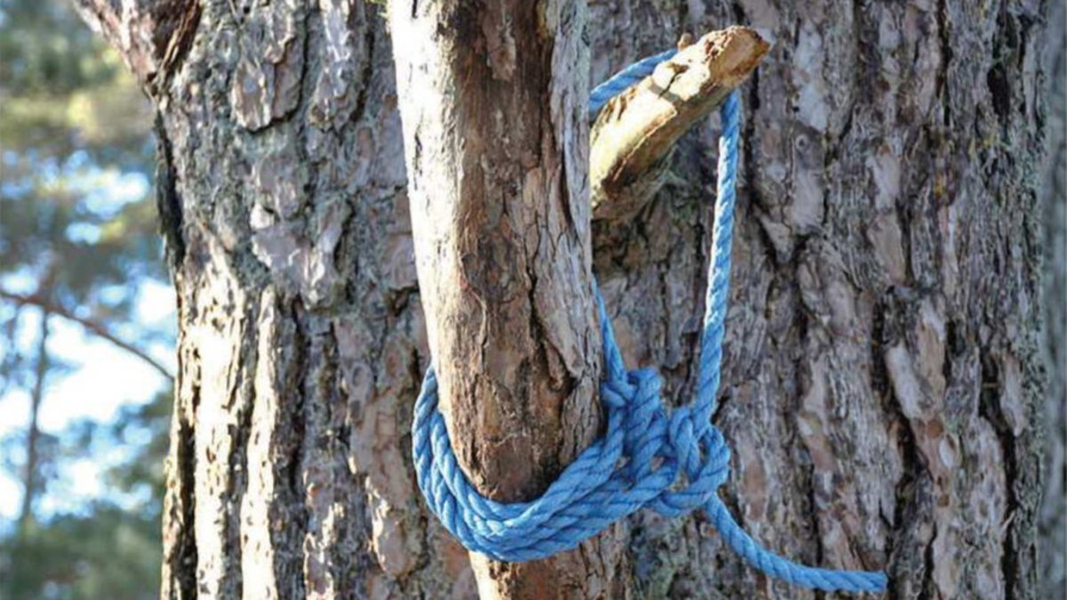 Offret hittades hängd i ett träd i Hjälstavikens naturreservat våren 2023.