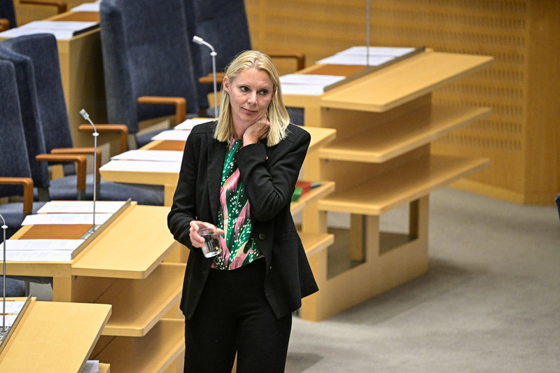 Åsa Westlund (S). Arkivbild.