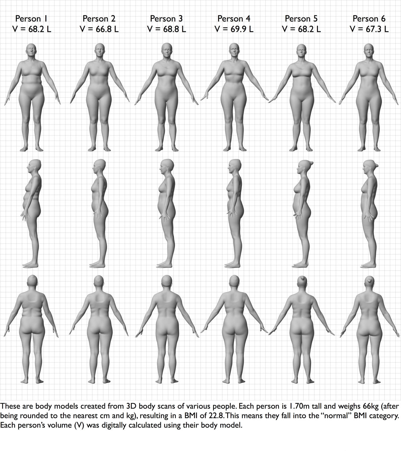 BMI, Kvinnor, kroppsform, Utseende
