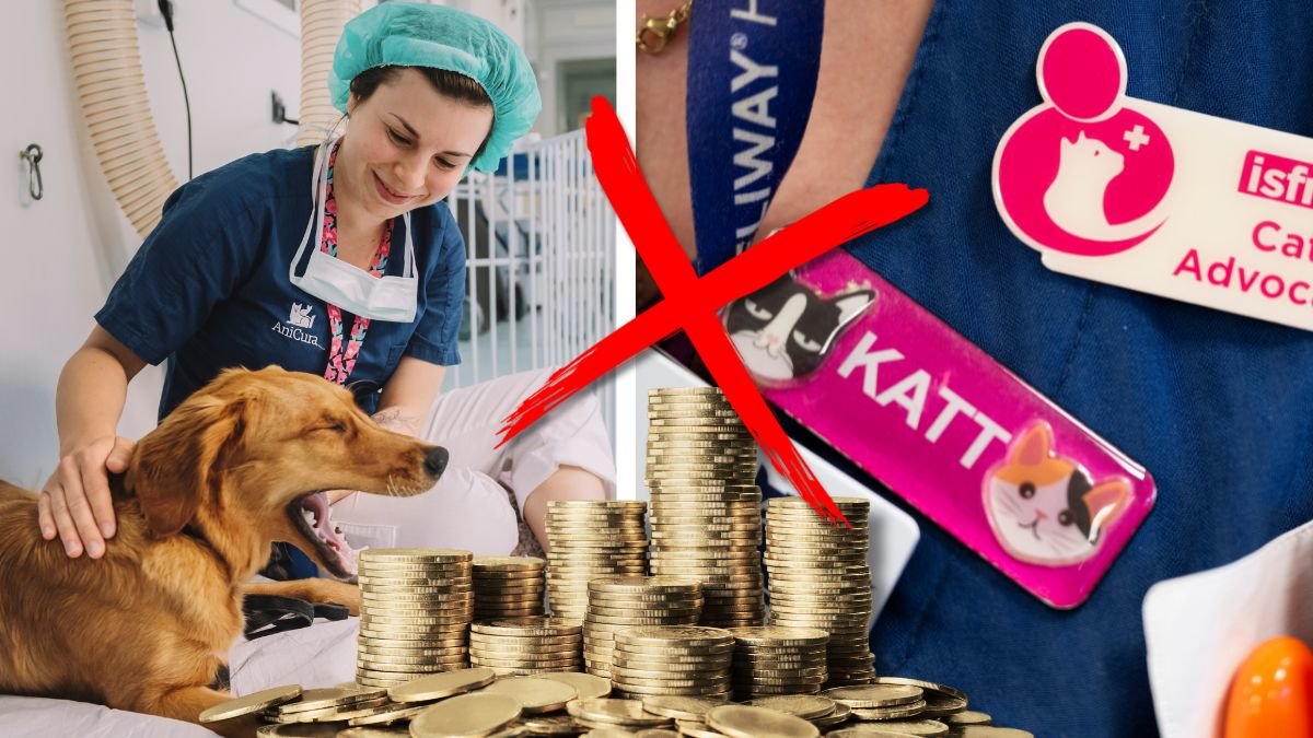 Nya regler för alla husdjursägare – det här kan ändras