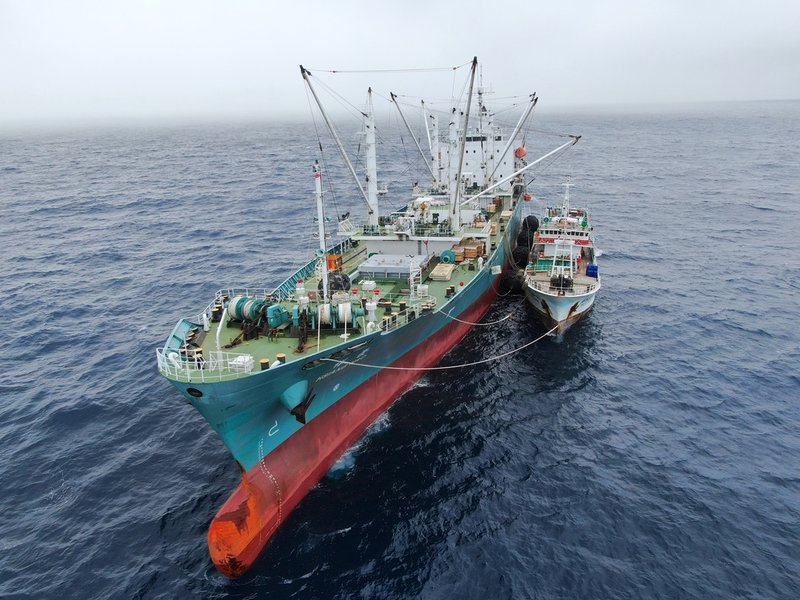 En taiwanesisk fiskebåt lastar över sin tonfiskfångst till ett Panamaflaggat omlastningsfartyg, så kallad fisktaxi. Pressbild.