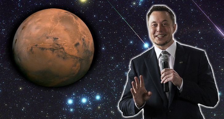SpaceX, Elon Musk