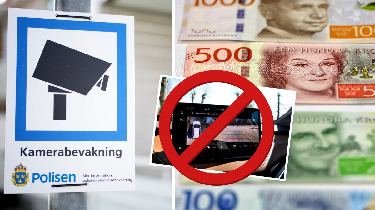 Kameran kan vara olaglig – risk för böter eller fängelse