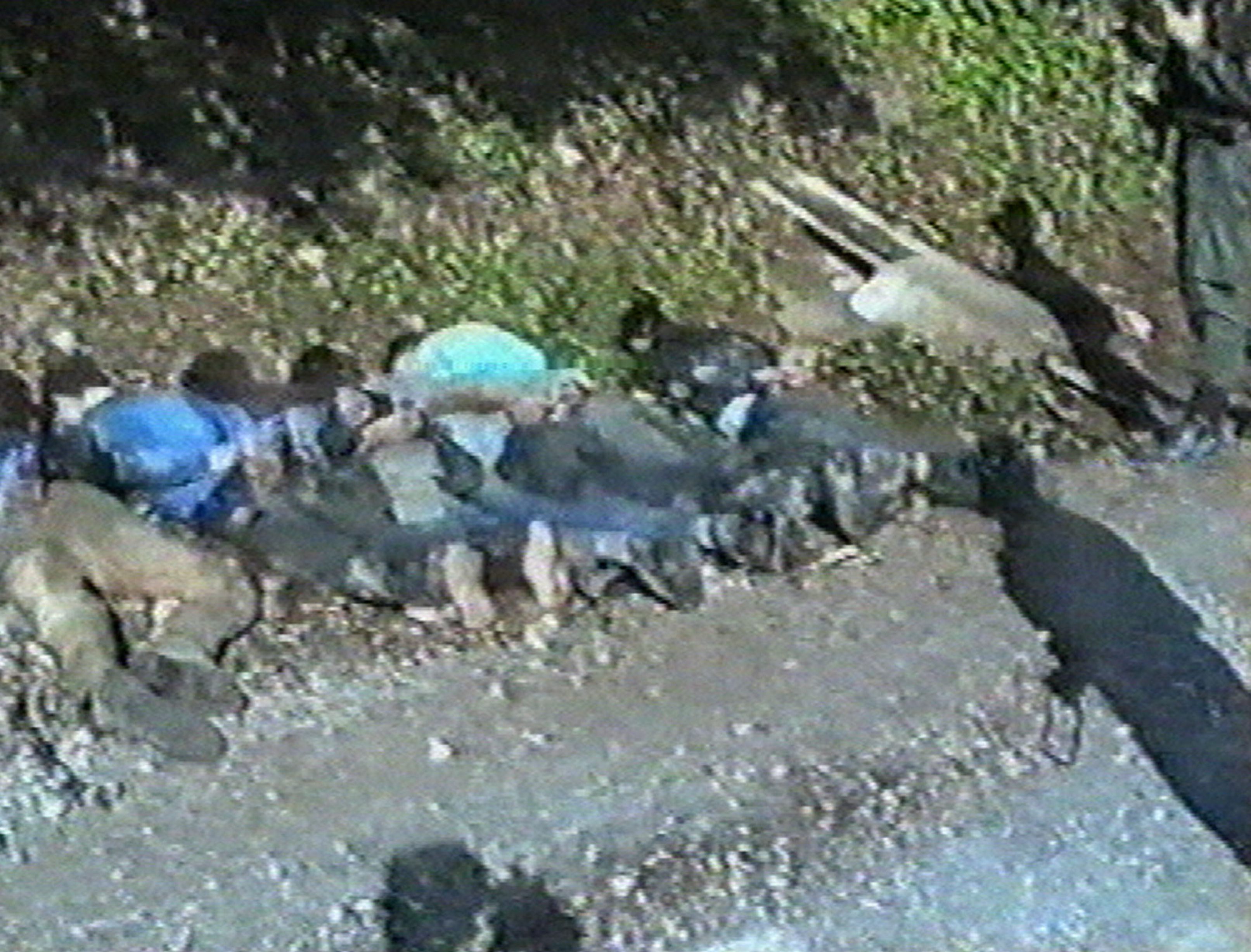 Döda män efter Srebrenicamassakern 1995. Döda män efter Srebrenicamassakern 1995.