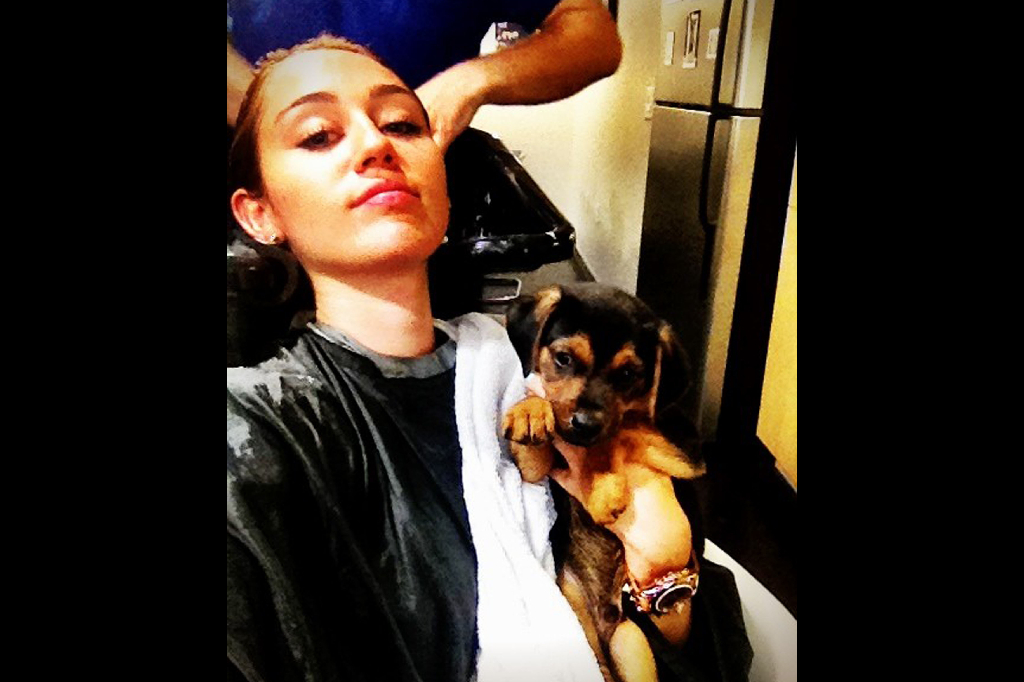 Miley Cyrus chillar i frisörstolen. Ny hårfärg på g?