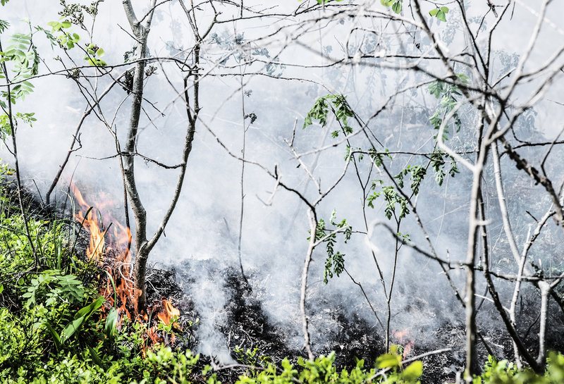 MSB informerar om att brandrisken är stor på många håll i landet under midsommarhelgen. Arkivbild.