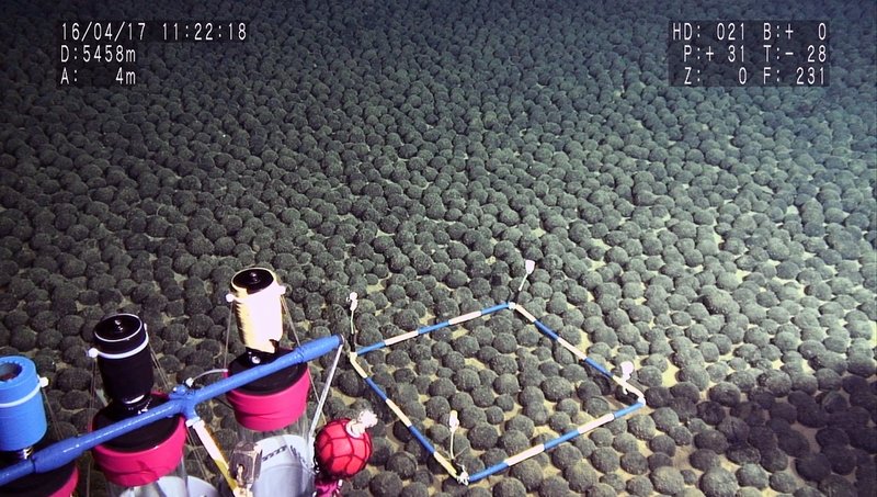 Polymetalliska noduler på omkring 5 500 meters djup utanför Japans kust.