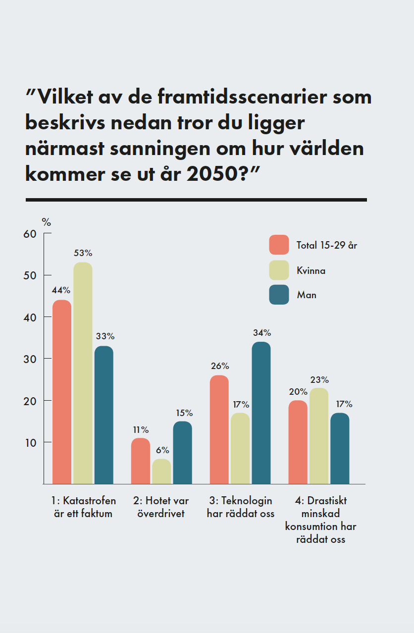 Rapport Rapport