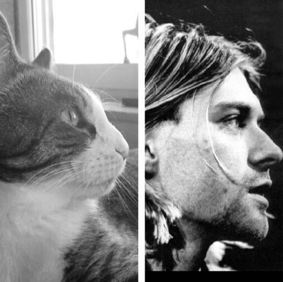 Kurt Cobain. Kurt Cobain.