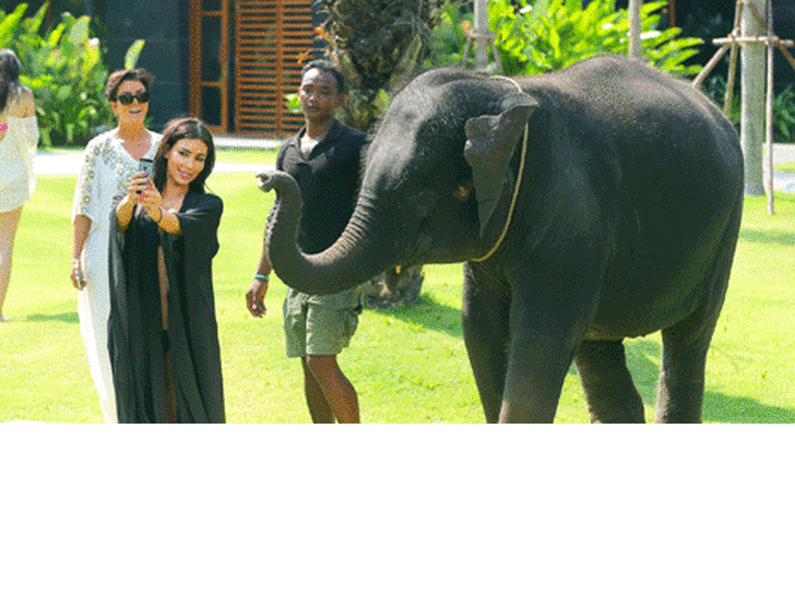 Selfie, Kim Kardashian, Elefant
