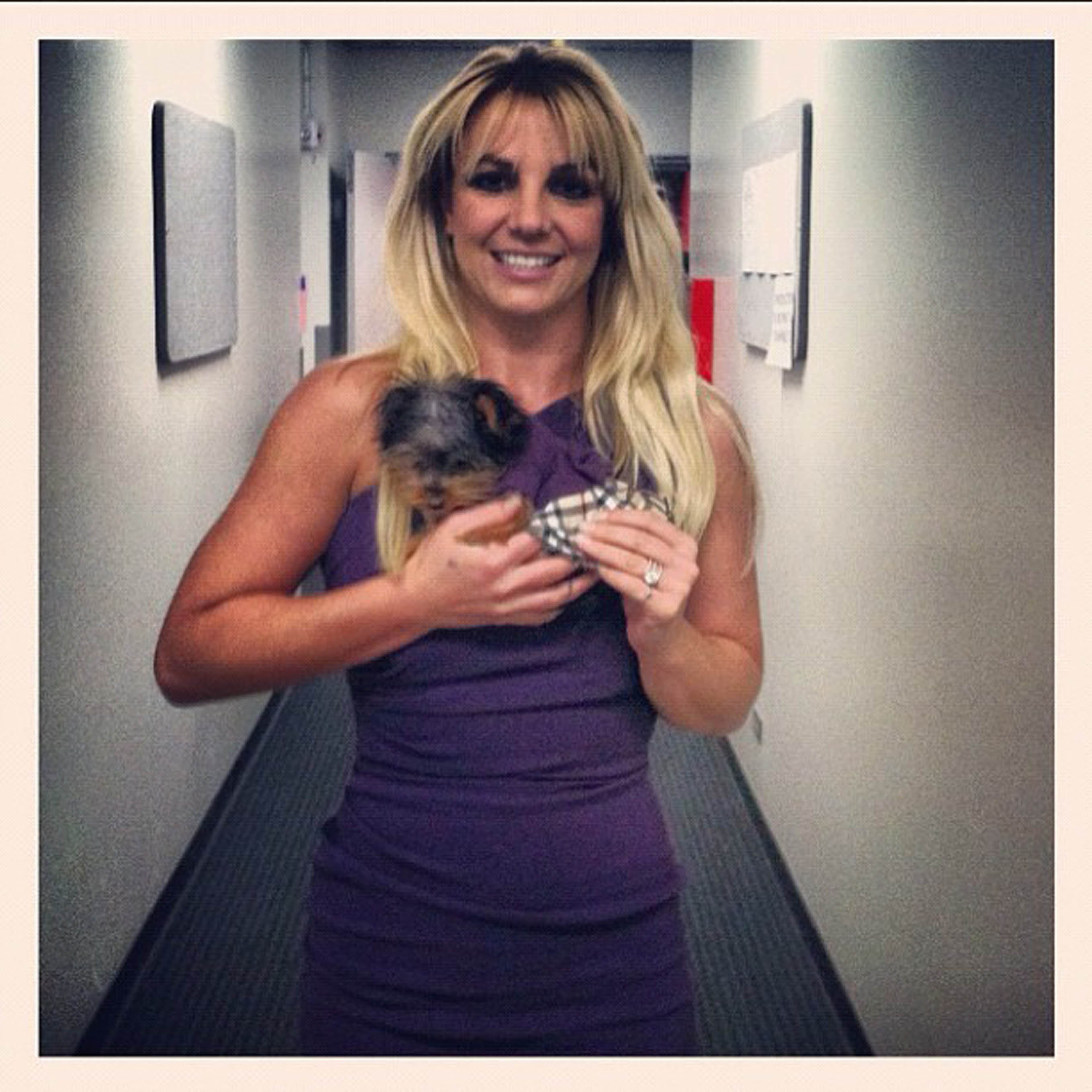 Britney Spears med mini-hund. Britney Spears med mini-hund.