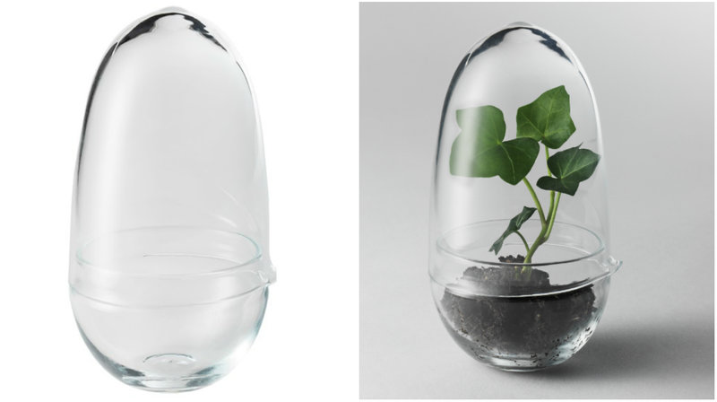 Miniväxthus Grow från Design House Stockholm