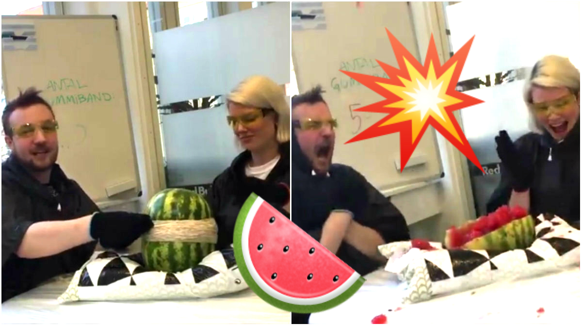 vattenmelon, Sprängs