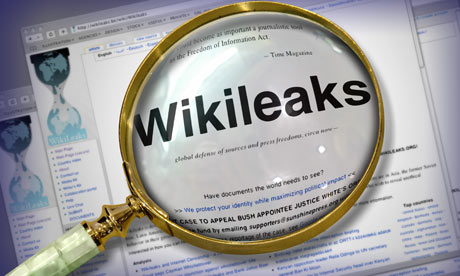 Wikileaks utsätts för allt hårdare granskning av de frihetsadvokater på nätet som tidigare varit sajtens största fans.