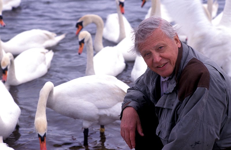 David Attenborough David Attenborough
