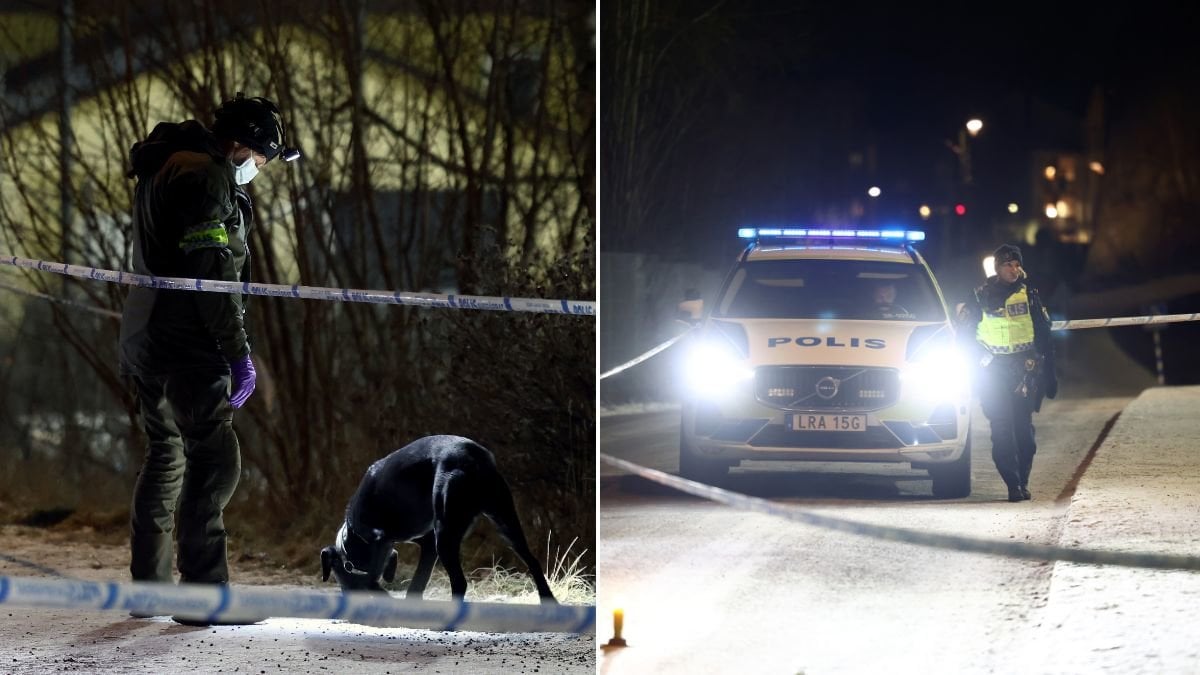 Stor sökinsats efter försvunnen kvinna i Stockholm