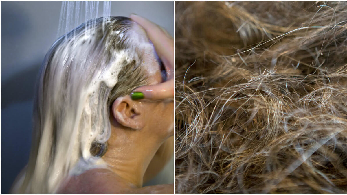 Vad händer med håret om du inte använder schampoo på sex år?